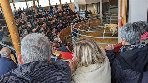 Schéma illustrant le fonctionnement d'un marché au cadran