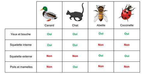 Comparaison visuelle des attributs et des armes privilégiés par chaque faction