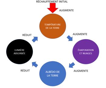 Schéma de la boucle de rétroaction négative CLAVATA3-WUSCHEL dans le MAC