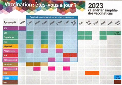 Calendrier de vaccination antigrippale