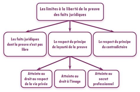 Schéma illustrant le principe de la preuve libre en droit pénal