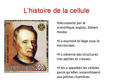 Dessin historique de cellules par Hooke