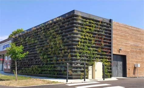 Illustration d'un mur végétalisé sur un bâtiment durable