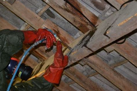Outils pour le traitement de charpente