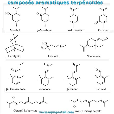 Structure moléculaire de quelques terpènes courants