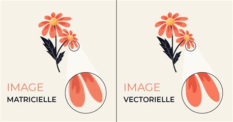 Illustration expliquant la différence entre les formes vectorielles et les formes matricielles