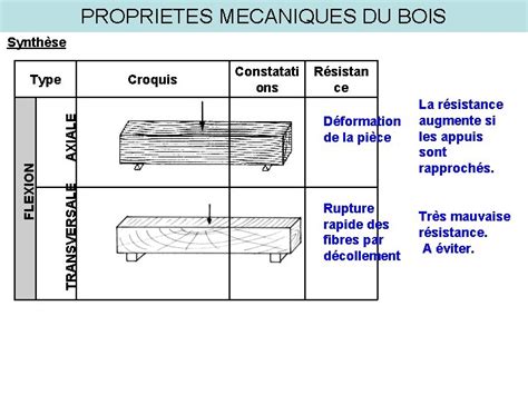 Comparaison des propriétés mécaniques du bois et de l'acier