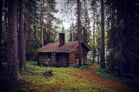 Cabane en rondins au milieu d'une forêt