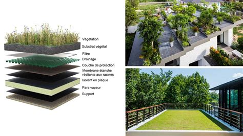 Exemple de toiture terrasse végétalisée