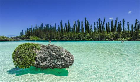 Paysage de l'Île des Pins