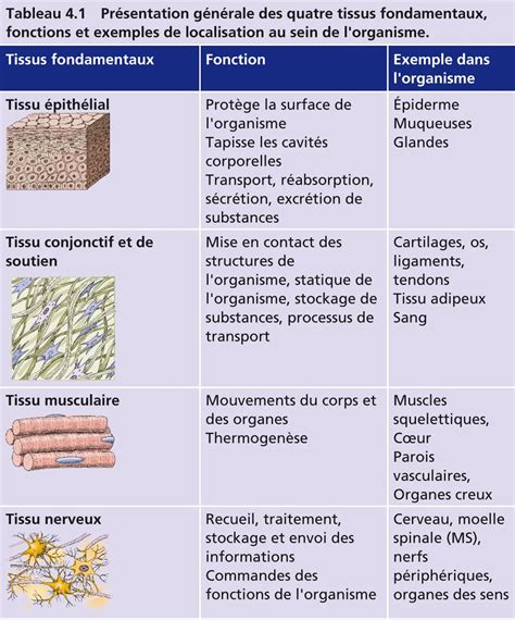 Schéma des différents types d'OSB et leurs usages