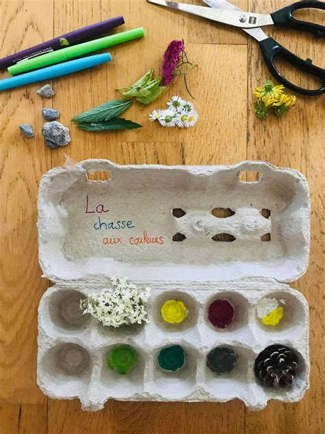 Boîte à œufs utilisée pour une chasse aux couleurs en forêt