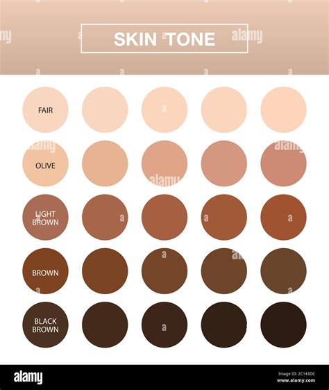 Palette de couleurs de peau