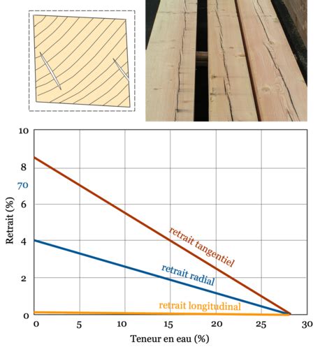Diagramme comparant la stabilité dimensionnelle du bois traité thermiquement et du bois non traité