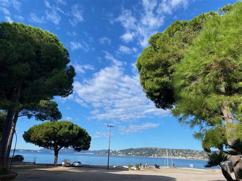 Vue panoramique de Juan-les-Pins avec la mer et la pinède
