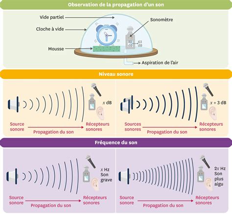 Schéma illustrant la transmission du son à travers différents matériaux