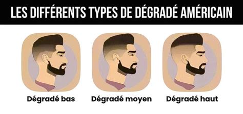 Illustrations montrant différents types de dégradés dans Illustrator