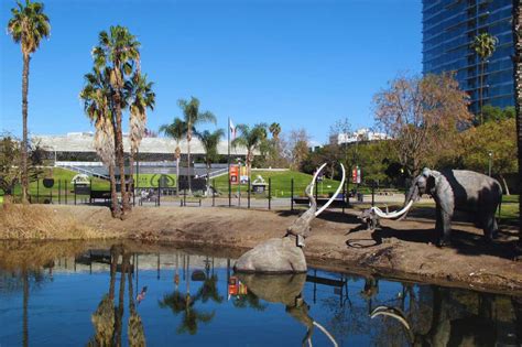 Vue panoramique des La Brea Tar Pits avec le musée George C. Page en arrière-plan