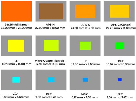Schéma comparatif des tailles de vasques courantes
