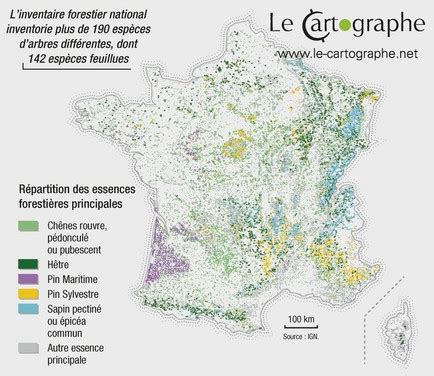 Carte de France montrant la répartition des services d'incendie et de secours