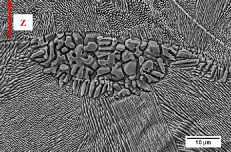 Micrographie d'un revêtement composite Ni-SiC montrant la dispersion des particules de SiC