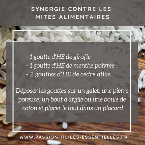 composition d'huiles essentielles pour repousser les mites