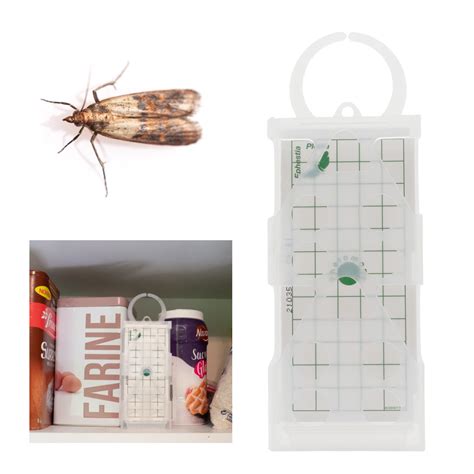 piège à mites avec phéromones