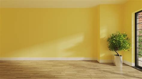 Une pièce décorée avec un mur peint en jaune soleil vif, avec des meubles en bois clair et des plantes vertes.