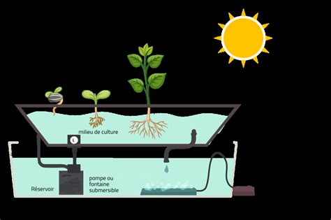 Schéma simplifié d'un système hydroponique