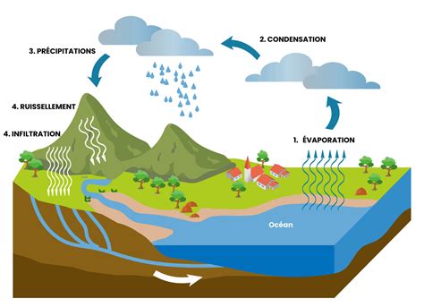 Illustration montrant le cycle de l'eau et des nutriments dans un système hydroponique