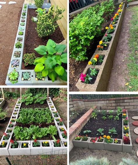 Potager en parpaings avec des légumes variés