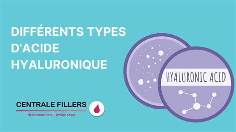 Diagramme montrant l'action de différents types d'acide hyaluronique sur la peau