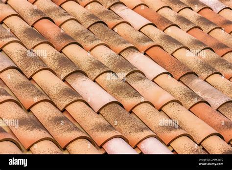 Vue rapprochée de tuiles de toit propres et traitées