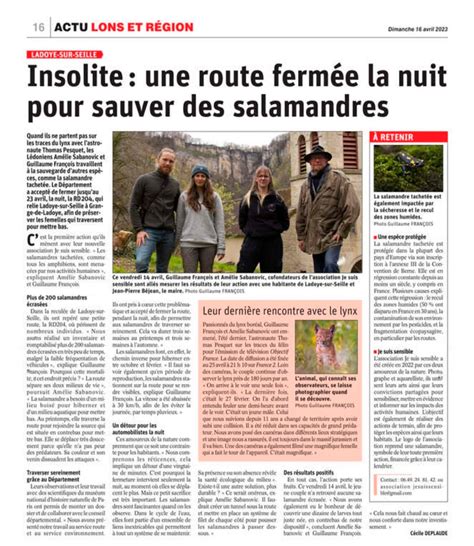 Calendrier avec le printemps et l'automne mis en évidence