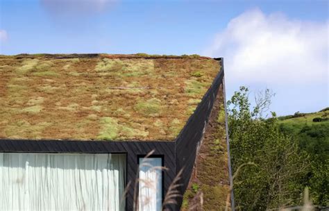 Toiture recouverte de mousse et de dépôts verts