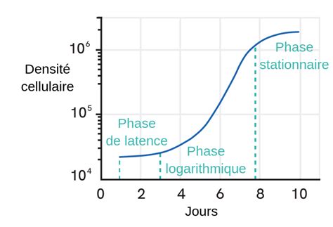 Graphique d'une courbe de croissance cellulaire sigmoïde