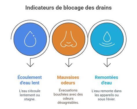 Infographie : Les causes courantes des bouchons dans les canalisations