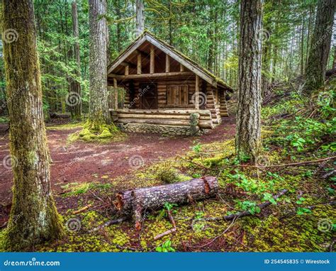 Vue d'une cabane en bois isolée au milieu d'une forêt dense, avec de la lumière filtrant à travers les arbres.