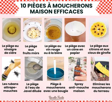 Piège à moucherons fait maison avec du vinaigre de cidre et du liquide vaisselle