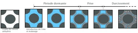Schéma illustrant les étapes de prise et de durcissement du ciment