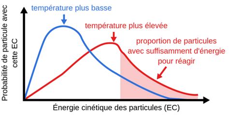 Graphique montrant l'influence de la température sur la vitesse de réaction chimique