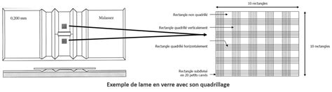 Schéma comparatif des résultats de comptage cellulaire entre un laboratoire français et un laboratoire belge