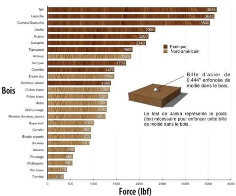 Tableau comparatif des propriétés de différentes essences de bois : densité, durabilité, résistance aux insectes, couleur, usage courant