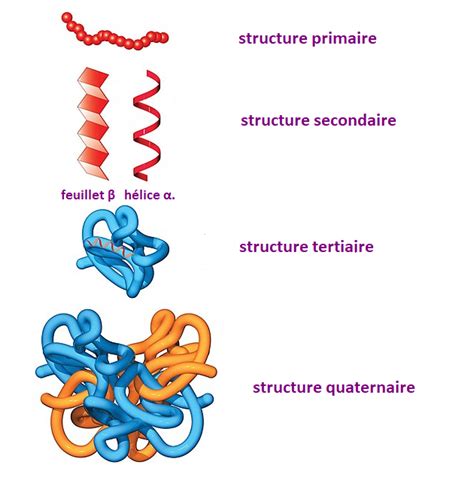 Structure chimique générale d'une amine tertiaire