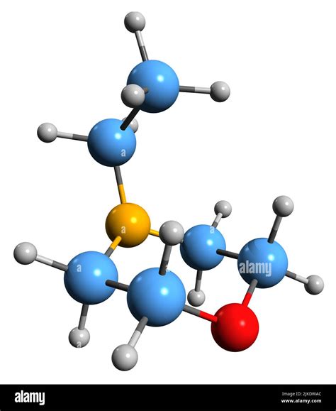 Structure de la N-éthylmorpholine
