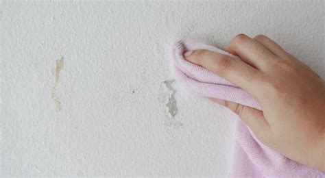 nettoyage résidus colle sur mur