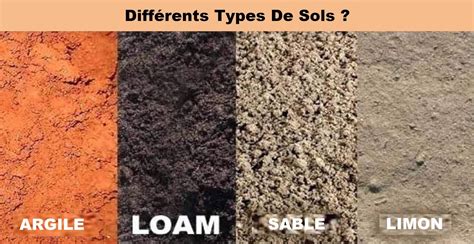Différents types de sols vinyles et linoléums