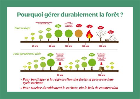 Forêt gérée durablement