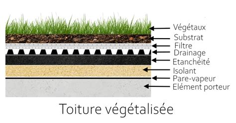 Diagramme des couches d'une toiture végétalisée