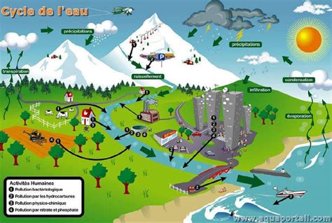 Illustration du cycle de l'eau et de son impact sur l'environnement urbain